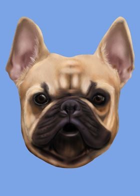 French Bulldog Face