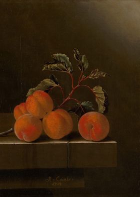 Still Life with Five Apric