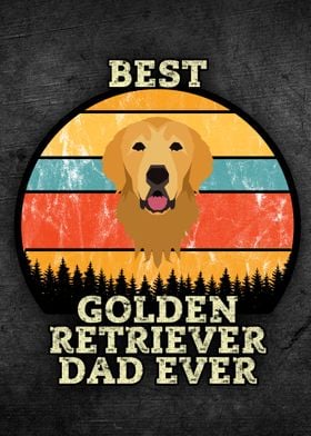 golden retriever xl