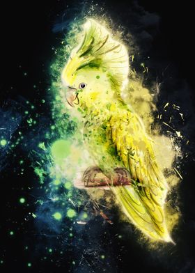 parrot watercolor