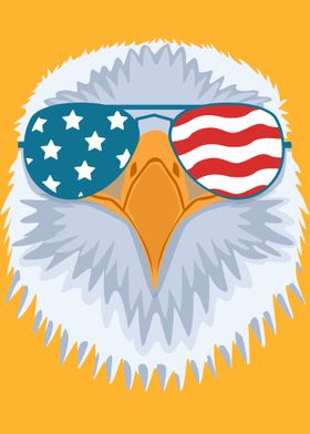 USA Bald Eagle Sunglasses