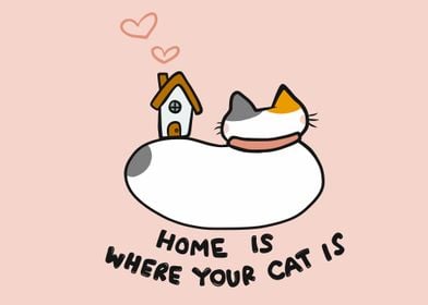 Home is where your cat is