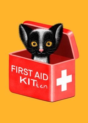 First Aid Kitten