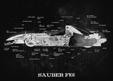 SAUBER F108