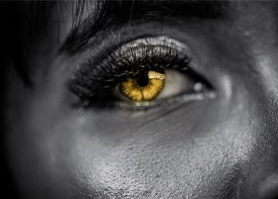 Yellow Eye