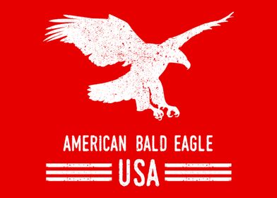 American Bald Eagle USA