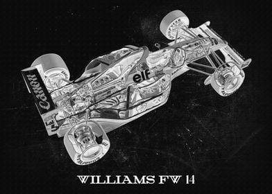 WILLIAMS FW 14