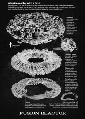 FUSION REACTOR