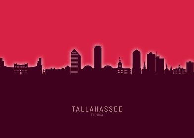 Tallahassee Skyline