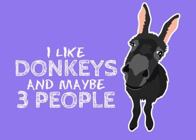 I Like Donkeys