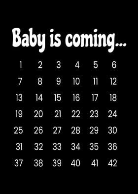 Baby Is Coming Pregnancy