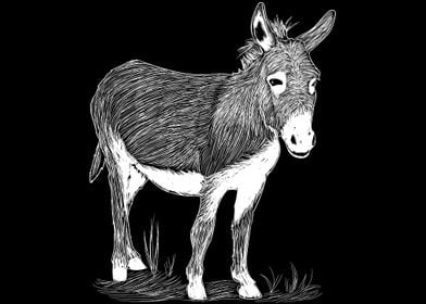 Donkey Sketch
