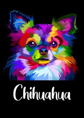 Colorfoul Chihuahua