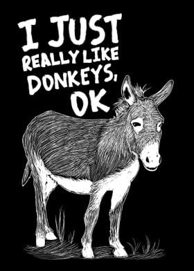 I Really Like Donkeys
