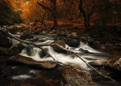 Autumn in Devon