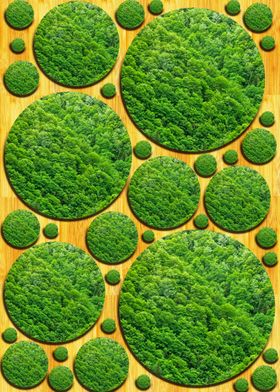 Forest bubbles on bamboo