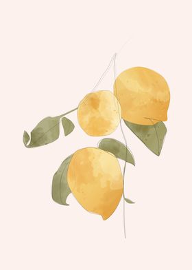 Lemon Tree