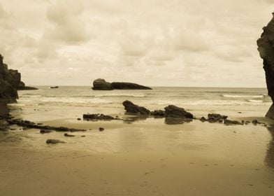 Beach and Horizon Yellow