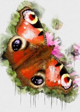 Butterfly watercolor paint