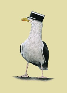 Great blackbacked gull