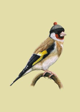 European goldfinch