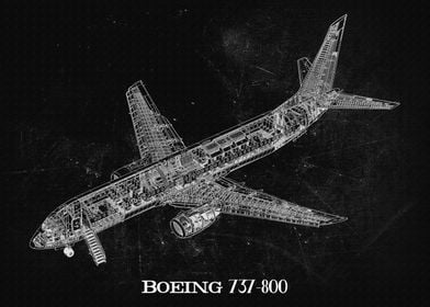 Boeing 737800