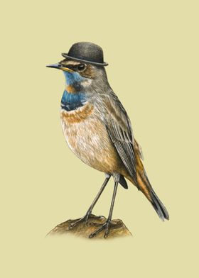 Bluethroat