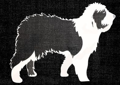 Shetland Sheepdog drawing