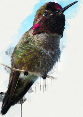 Bird watercolour paint