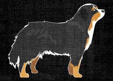 Shetland Sheepdog drawing