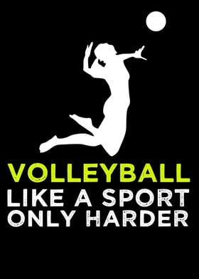 Volleyball Like A Sport