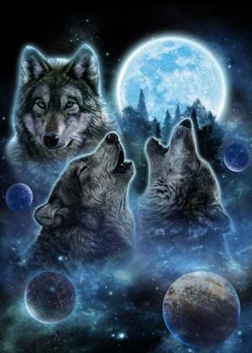 Three Wolves and Full Moon