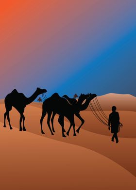 silhouette camel on desert