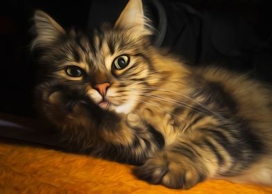 Norwegian Forest Cat