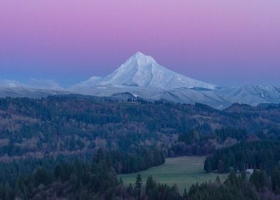 Mountain Beauty