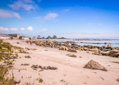 White sand coastline