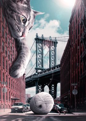 A Cat In the City