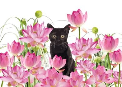 Black Cat Lotus Field