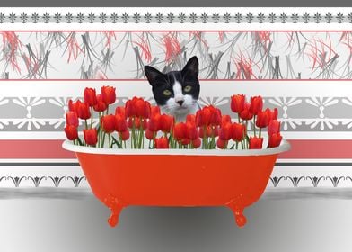 Cat Bathtub Tulips flower