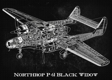 Northrop P61 Black Widow