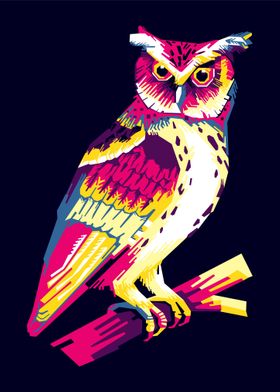 owl wpap 