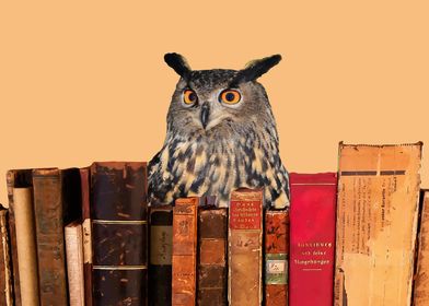 Brown Owl Old Books 