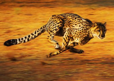 Fastest Mammal