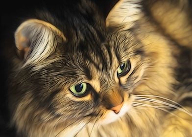 Norwegian Forest CloseUp