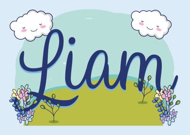 LIAM Baby Name Sign Gift