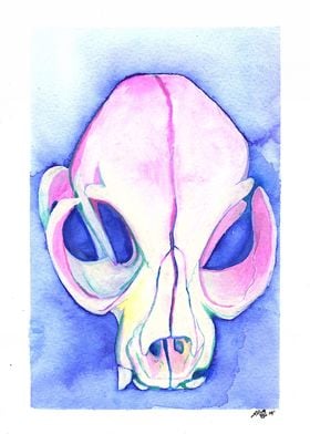 Cat Skull