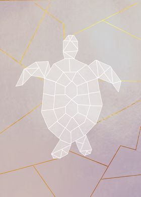 turtle lines