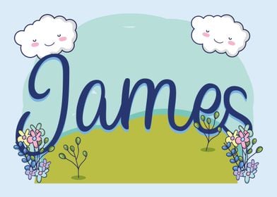 JAMES Baby Name Sign Gift