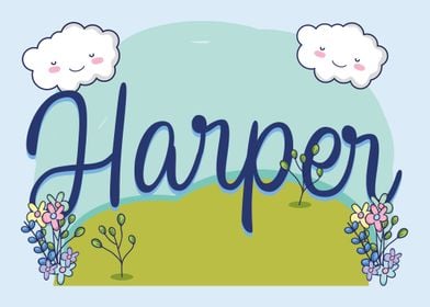 HARPER Baby Name Sign Gift