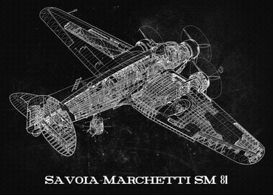 SavoiaMarchetti SM 81